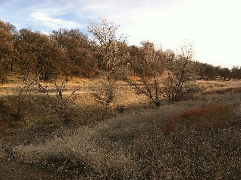 File:Oroville wildlife area.jpeg