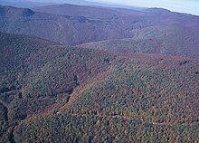 View from the air of a forest-covered mountain