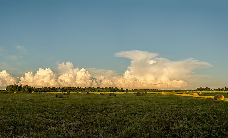 File:Rünksajupilved - Cumulonimbus.jpg