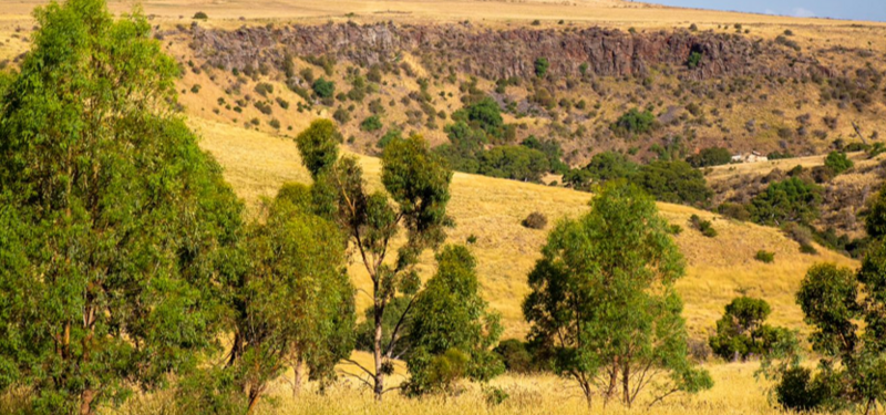 File:Redstone Hill escarpment.png