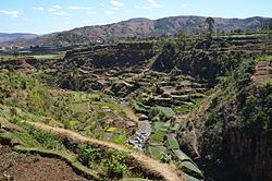 Rice fields near Betafo