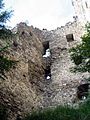 Ruins of the Ruchenberg keep