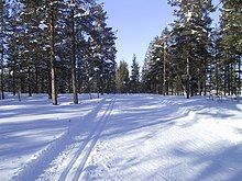 Photograph of a groomed, snow-covered cross-country ski trail