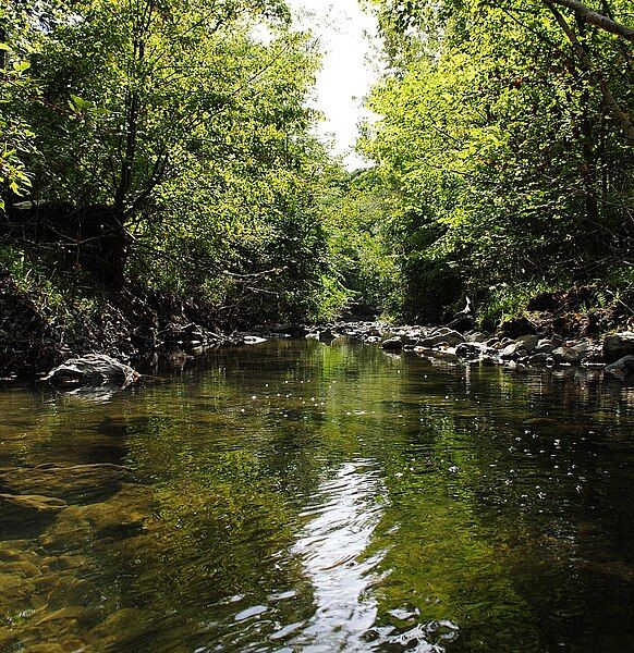 File:Taylor-Massey Creek.jpg