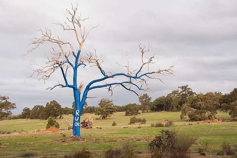 File:Toodyay 290619 gnangarra-117.jpg