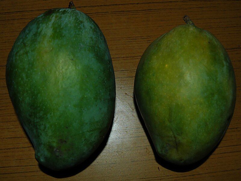 File:Alampur Benishan Mangoes.jpg