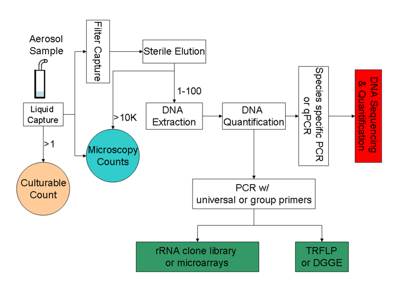 File:Bioaerosol Analysis Procedure.png