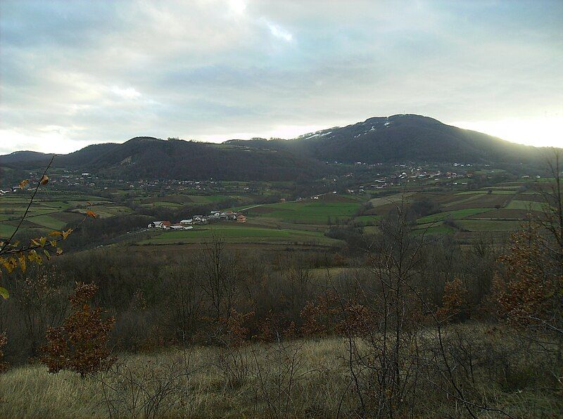 File:CRNI VRH (Jesevac).jpg