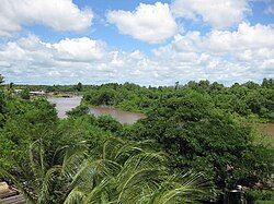 Photograph of Canje River, Guyana