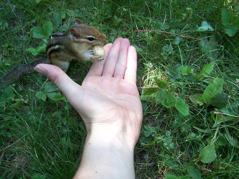 File:Climb aboard!.jpg