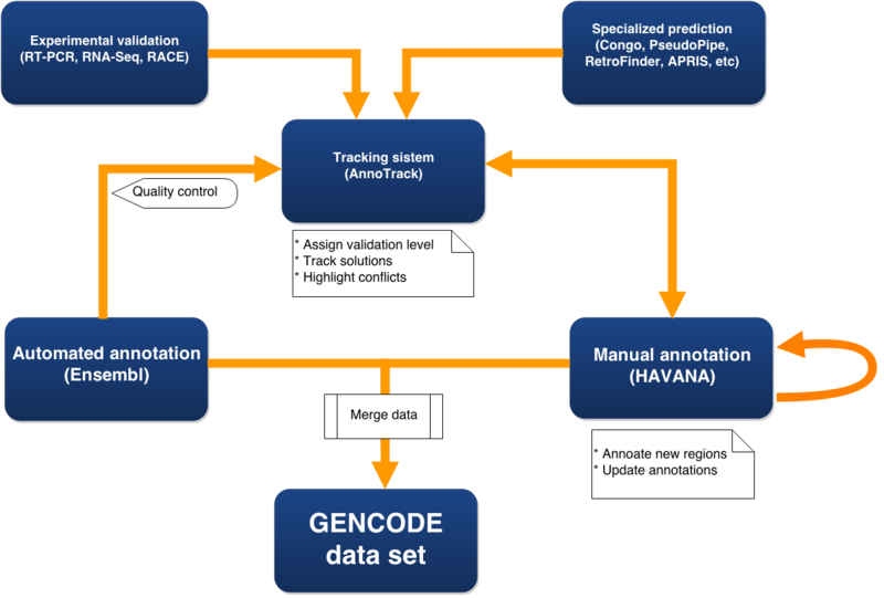 File:Gencode pipeline diagram.png