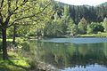 Helmbachweiher lake