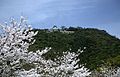 Iwakuni Castle