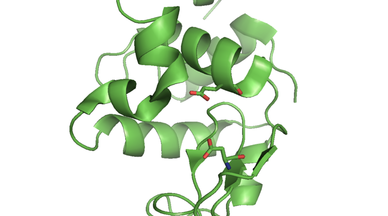 File:LysomePDB1DPX.png