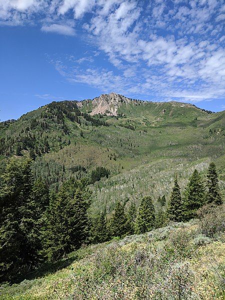 File:Mt. Raymond.jpg