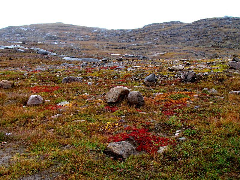 File:Nunavut tundra -c.jpg