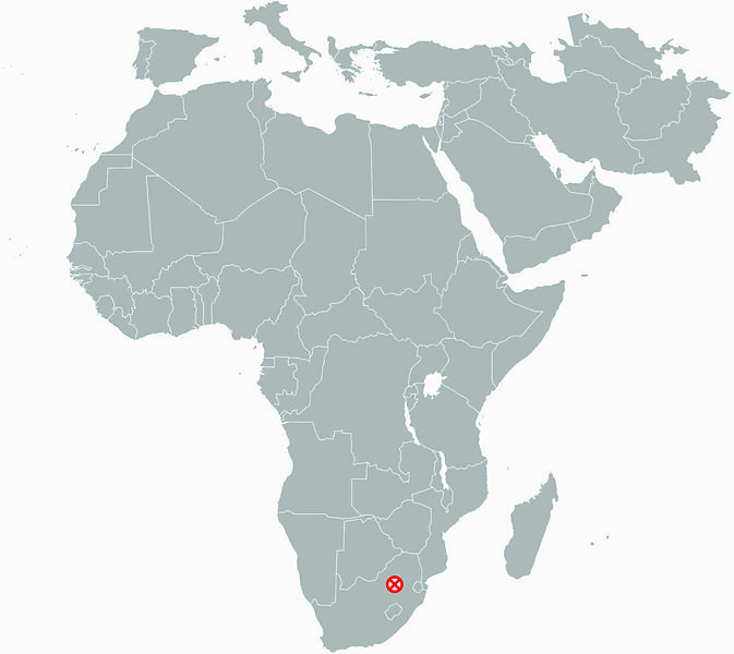 File:Paranthropus robustus Africa.jpg