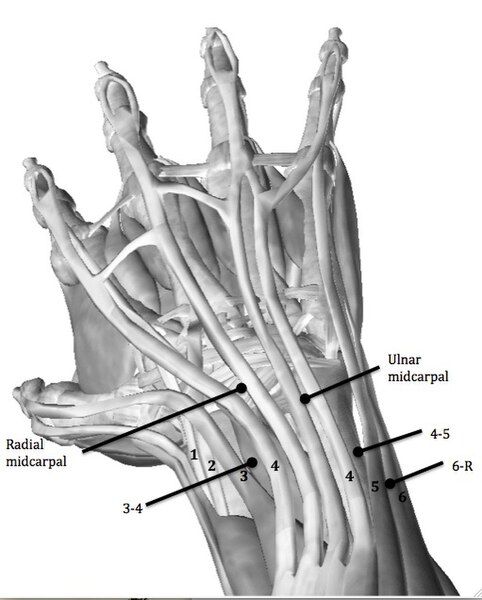 File:Portals hand.jpg