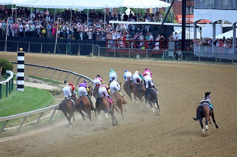 File:Preakness (46974568655).jpg