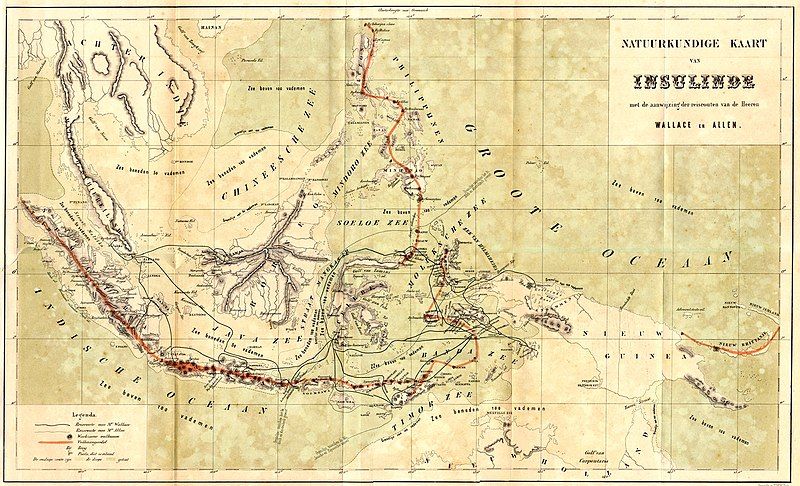 File:Wallace map archipelago.jpg