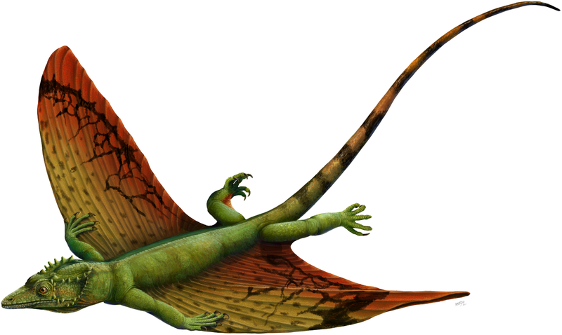 File:Weigeltisaurus reconstruction.png