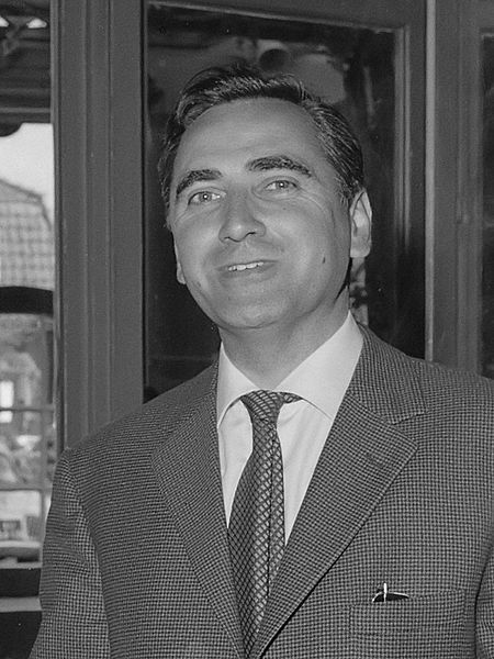 File:Wim Meuldijk (1962).jpg