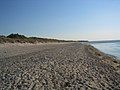 The beach along Tisvilde Hegn.