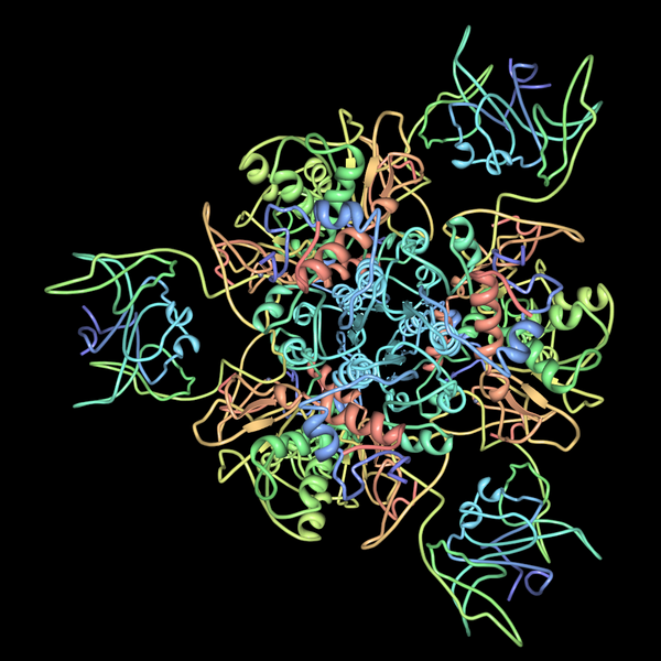 File:Apartate-carbamoyltransferase-pdb-2ATC.png