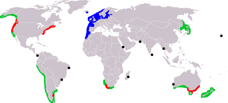 File:Carcinus maenas range.png