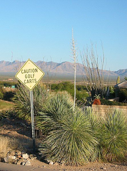 File:Caution golf carts.jpg