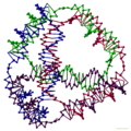 A model of a DNA tetrahedron