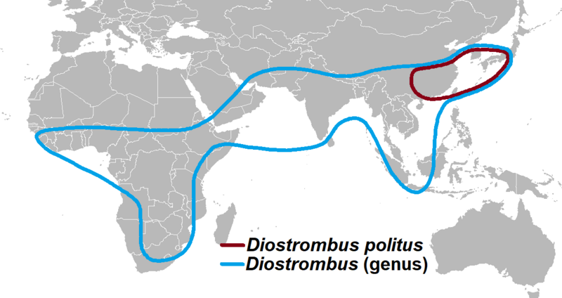 File:Diostrombus distribution2.png