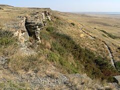 Buffalo jump