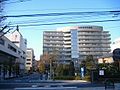 Kitasato Institute