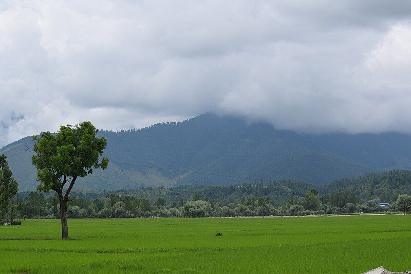 File:Lolab Valley-Kupwara.JPG