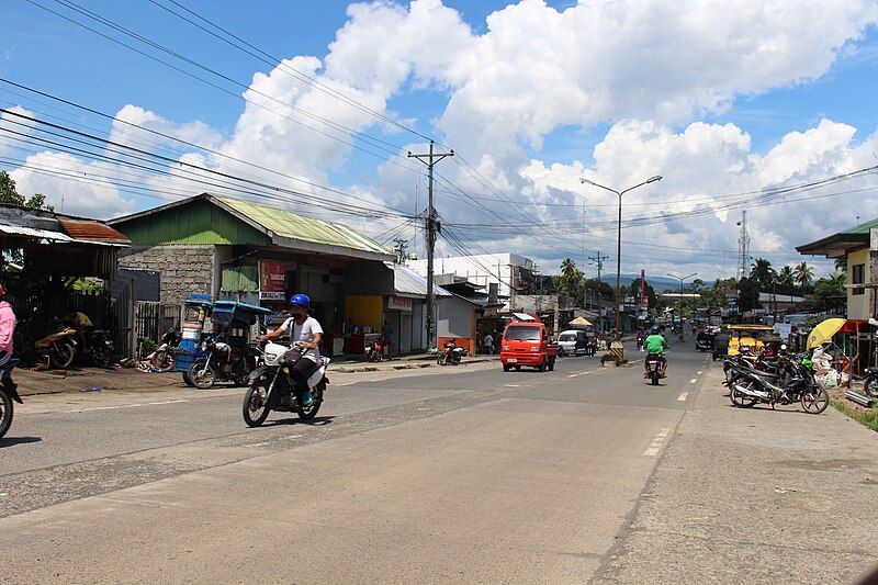 File:Mahayag Poblacion ZDS.jpg