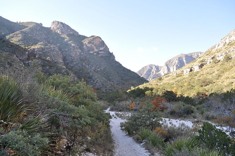 File:McKittrick Canyon Trail.JPG