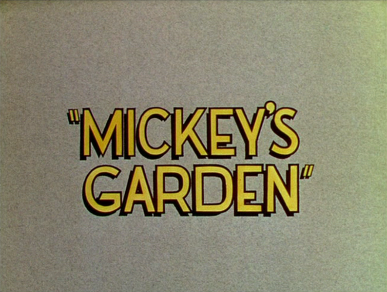 File:Mickey's Garden.png