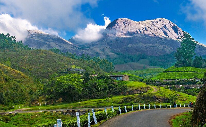 File:Munnar hillstation kerala.jpg