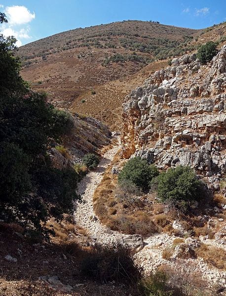 File:Nahal-dishon.jpg