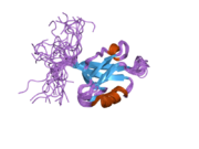 2dls: Solution structure of the PDZ domain of human Rho guanine nucleotide exchange factor 11