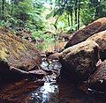 A small stream within the lake