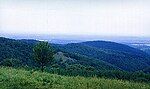 Fruška Gora mountain