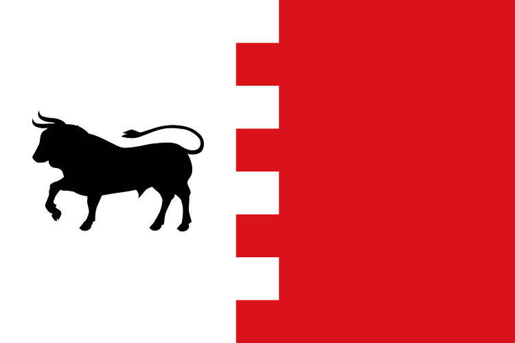 File:Bandera de Villavaquerín.svg