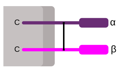 File:CD8 receptor.svg