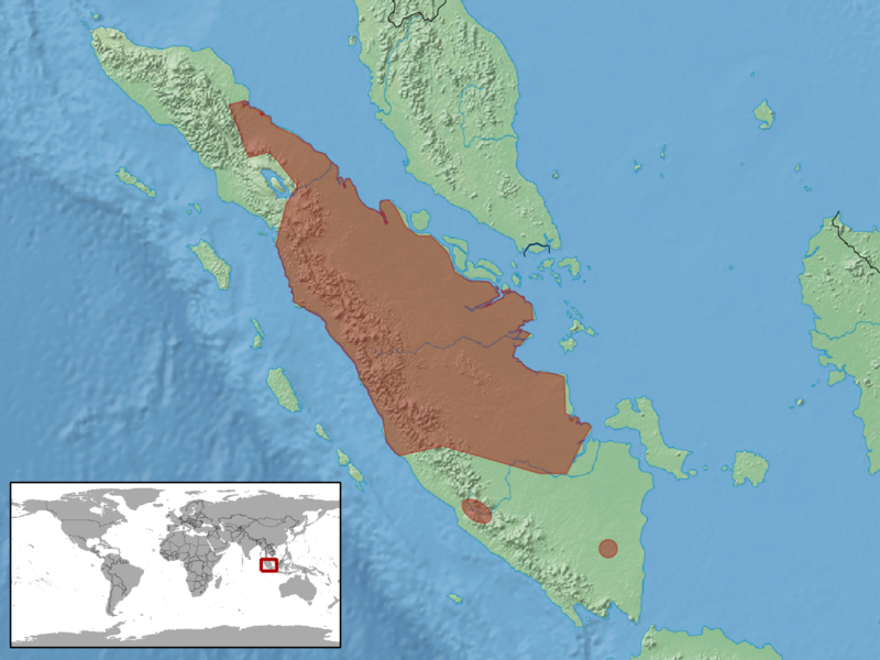 File:Calamaria sumatrana distribution.png