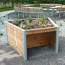 Special raised flower bed, permitting gardening in a wheelchair, in Frankfurt, Germany.