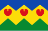 Flag of Goëngahuizen