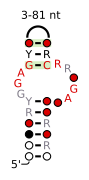 A consensus secondary structure and primary sequence for the kink-turn RNA motif.