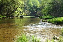 Kinzua Creek